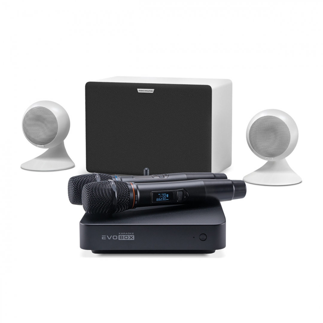 караоке-комплект EVOBOX Classic + EvoSound Sphere 2.1 в Ивантеевке