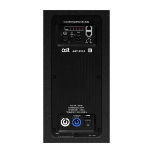 Активная акустическая система AST-310A в Ивантеевке