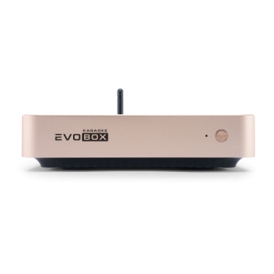 EVOBOX Classic караоке-система для дома в Ивантеевке