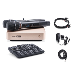 EVOBOX Classic караоке-система для дома в Ивантеевке