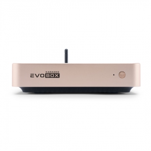 EVOBOX Plus караоке-система для дома в Ивантеевке