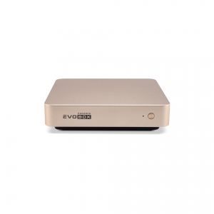 EVOBOX с микрофонами в Ивантеевке